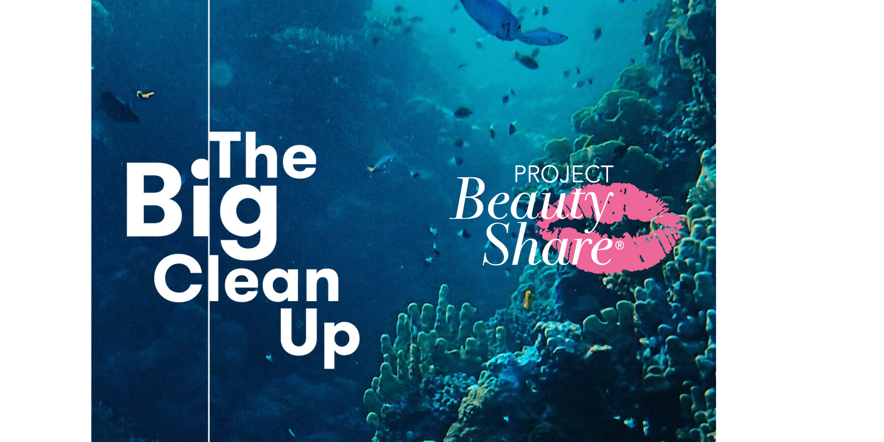 Our partnership with Project Beauty Share