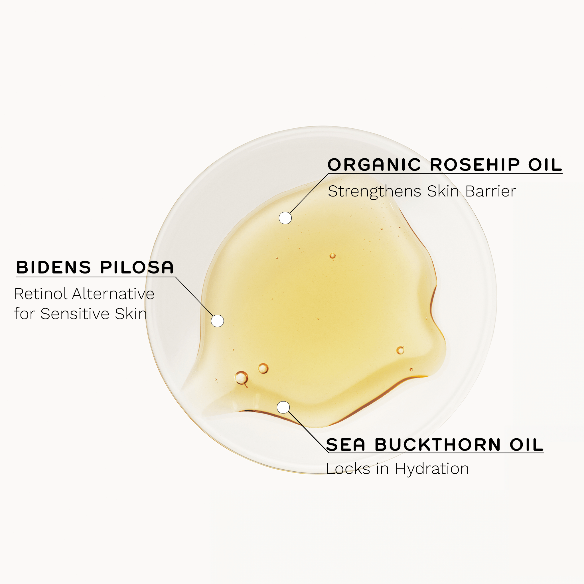 Bio Retinoid™ Youth Concentrate Oil